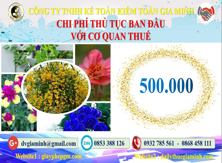 Chi phí thủ tục ban đầu với cơ quan thuế tại TP Hà Nội
