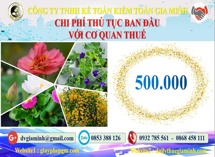 Chi phí thủ tục ban đầu với cơ quan thuế tại TP Hải Phòng