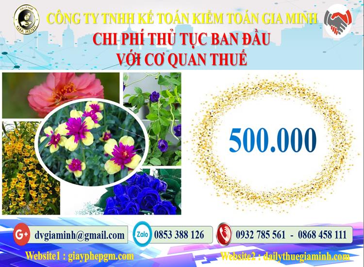 Chi phí thủ tục ban đầu với cơ quan thuế tại TP Hồ Chí Minh