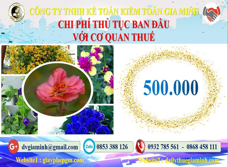 Chi phí thủ tục ban đầu với cơ quan thuế tại Vĩnh Long