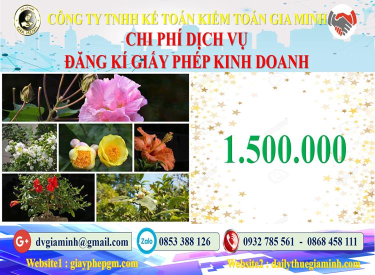 Chi phí đăng ký giấy phép kinh doanh tại Bình Định