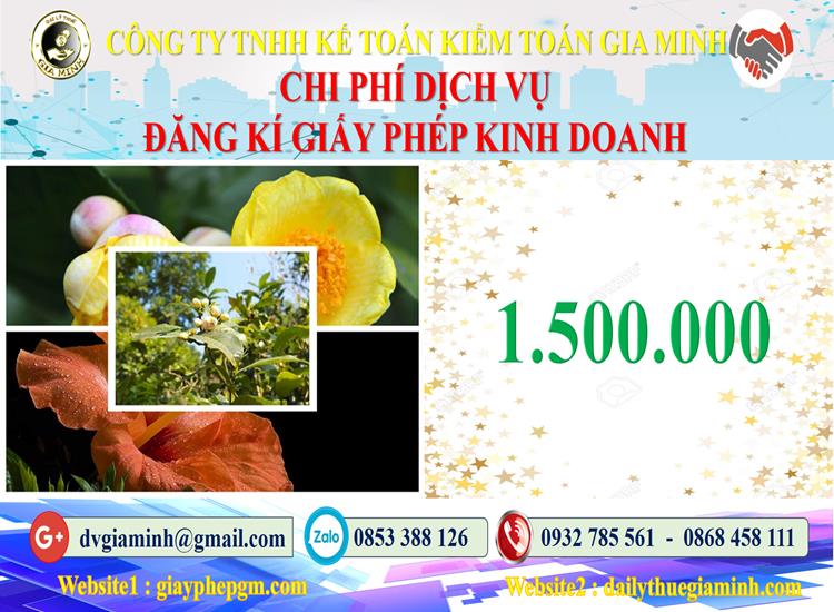 Chi phí đăng ký giấy phép kinh doanh tại Gia Lai