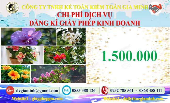 Chi phí đăng ký giấy phép kinh doanh tại Hà Giang