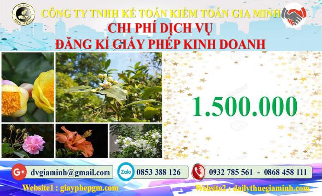 Chi phí đăng ký giấy phép kinh doanh tại Hải Dương