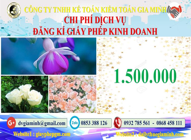 Chi phí đăng ký giấy phép kinh doanh tại Kiên Giang