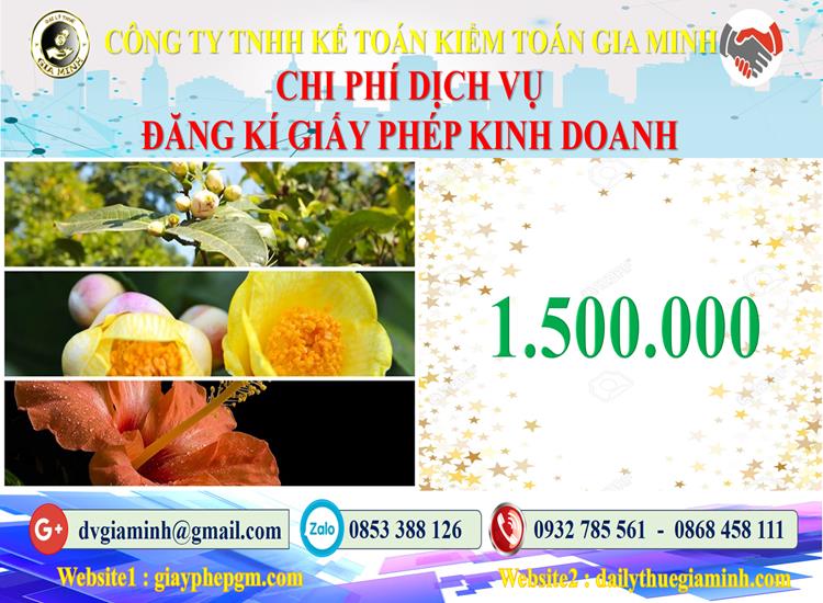 Chi phí đăng ký giấy phép kinh doanh tại Long An