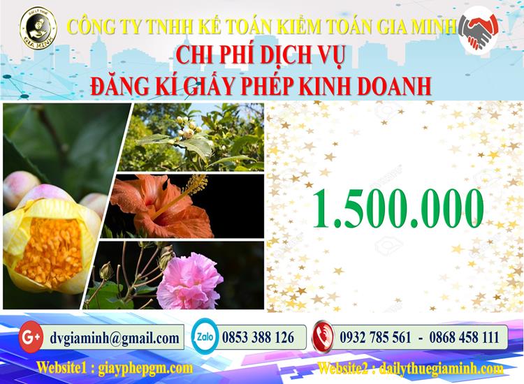 Chi phí đăng ký giấy phép kinh doanh tại Quảng Bình
