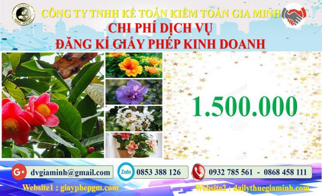 Chi phí đăng ký giấy phép kinh doanh tại Quảng Ninh