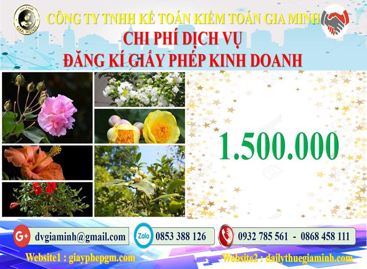 Chi phí đăng ký giấy phép kinh doanh tại Quảng Trị