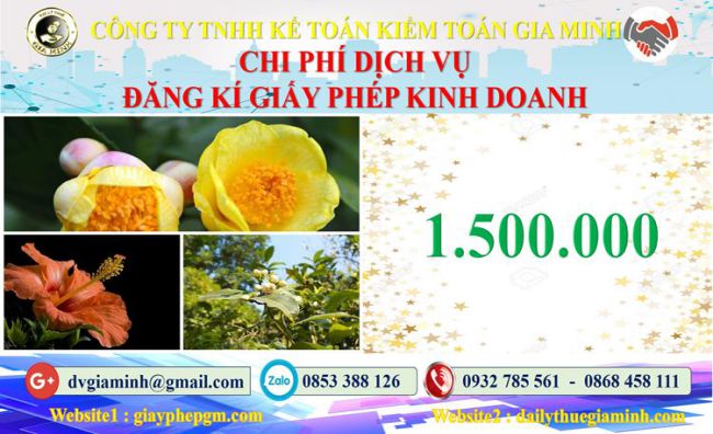 Chi phí đăng ký giấy phép kinh doanh tại Sơn La