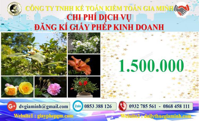 Chi phí đăng ký giấy phép kinh doanh tại Thái Nguyên