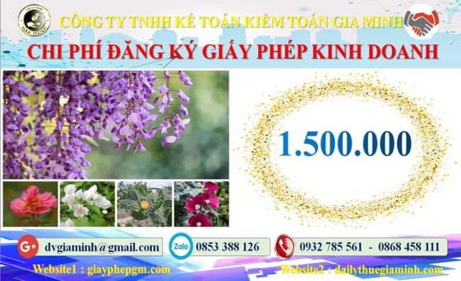 THỦ TỤC ĐĂNG KÝ GIẤY PHÉP KINH DOANH TẠI TPHCM 5 Chi phí đăng ký giấy phép kinh doanh tại TPHCM