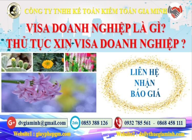 Chi phí xin visa doanh nghiệp
