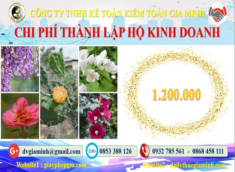 Xin giấy phép hộ kinh doanh tại Đà Nẵng như thế nào? 5 Chi phí thành lập hộ kinh doanh tại Đà Nẵng