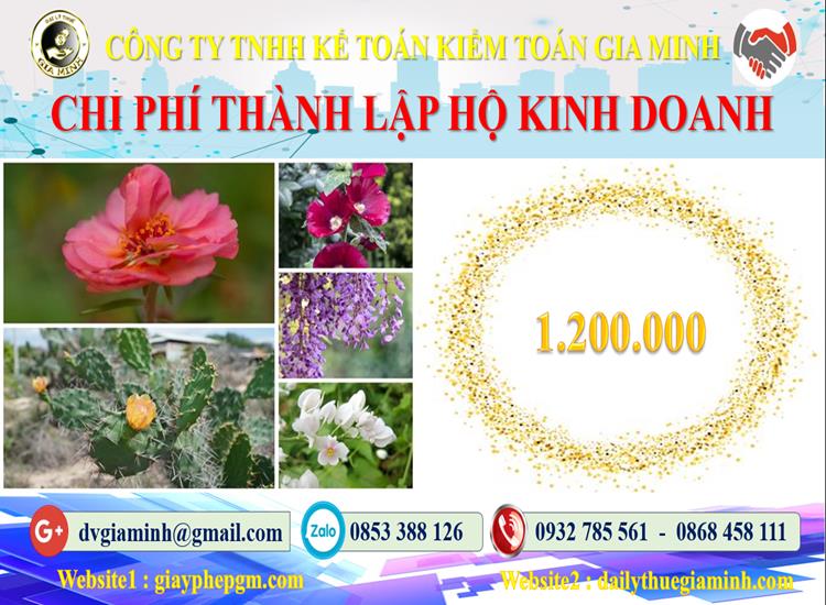 Xin giấy phép hộ kinh doanh tại Quảng Nam như thế nào? 5 Chi phí thành lập hộ kinh doanh tại Quảng Nam