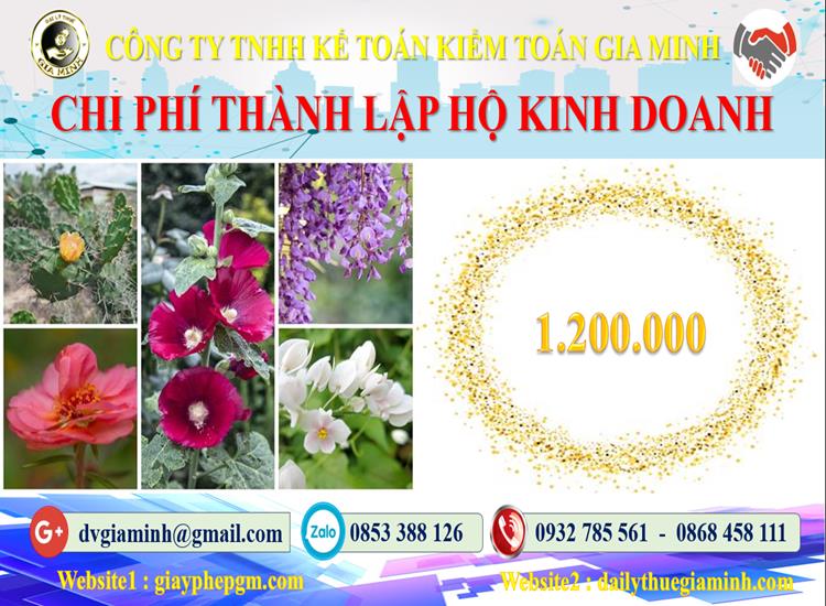Xin giấy phép hộ kinh doanh tại TP Hải Phòng như thế nào? 5 Chi phí thành lập hộ kinh doanh tại TP Hải Phòng