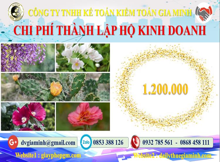 Chi phí thành lập hộ kinh doanh tại TPHCM