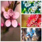 CUNG CẤP DỊCH VỤ XIN PHÙ HIỆU XE VẬN TẢI TẠI TPHCM NHANH CHÓNG 6 Cần dịch vụ xin phù hiệu xe vận tải tại TPHCM