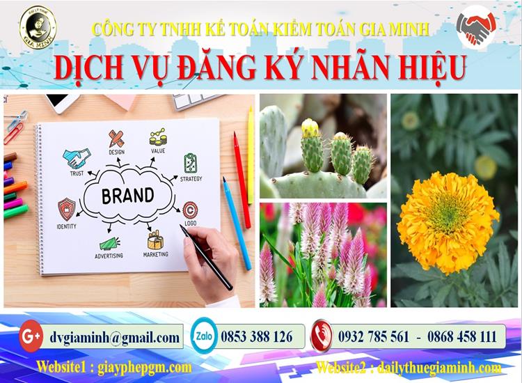 Đăng ký bảo hộ nhãn hiệu thương hiệu logo độc quyền tại TPHCM 4 Đăng ký bảo hộ nhãn hiệu thương hiệu lolo độc quyền TPHCM