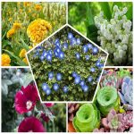 Xin giấy phép hộ kinh doanh tại Đà Nẵng như thế nào? 6 Đăng ký thành lập hộ kinh doanh tại Đà Nẵng