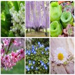 Xin giấy phép hộ kinh doanh tại Quảng Nam như thế nào? 6 Đăng ký thành lập hộ kinh doanh tại Quảng Nam
