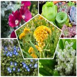 Xin giấy phép hộ kinh doanh tại TP Hải Phòng như thế nào? 6 Đăng ký thành lập hộ kinh doanh tại TP Hải Phòng