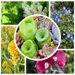 Muốn thành lập hộ kinh doanh tại TPHCM