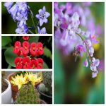 Thủ tục xin cấp giấy phép xây dựng nhà xưởng tại TPHCM 6 Hướng dẫn thủ tục xin cấp giấy phép xây dựng nhà xưởng TPHCM