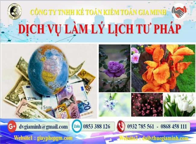 Dịch vụ làm lý lịch tư pháp giá rẻ TPHCM 4 Dịch vụ làm lý lịch tư pháp giá rẻ TPHCM