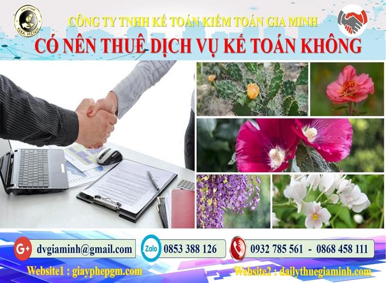 Có nên thuê dịch vụ kế toán không? 3 Có nên thuê dịch vụ kế toán không?