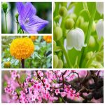 Muốn mua chữ ký số Viettel tại Huyện Thạch Thất