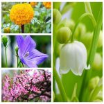 Bảng giá chữ ký số Viettel tại Lai Châu 6 Muốn mua chữ ký số Viettel tại Lai Châu