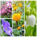Bảng giá chữ ký số Viettel tại Quận Bình Thạnh 6 Muốn mua chữ ký số Viettel tại Quận Bình Thạnh