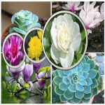 Đăng ký bảo hộ nhãn hiệu thương hiệu logo độc quyền tại Bắc Kạn 6 Cần Đăng ký bảo hộ nhãn hiệu thương hiệu logo độc quyền tại Bắc Kạn