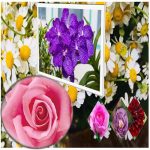 Đăng ký bảo hộ nhãn hiệu thương hiệu logo độc quyền tại Quận 5 6 Cần Đăng ký bảo hộ nhãn hiệu thương hiệu logo độc quyền tại Quận 5