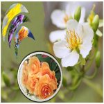 Đăng ký bảo hộ nhãn hiệu thương hiệu logo độc quyền tại Quận Cái Răng 6 Cần Đăng ký bảo hộ nhãn hiệu thương hiệu logo độc quyền tại Quận Cái Răng