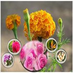 Đăng ký bảo hộ nhãn hiệu thương hiệu logo độc quyền tại Thái Nguyên 6 Cần Đăng ký bảo hộ nhãn hiệu thương hiệu logo độc quyền tại Thái Nguyên