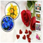 Cần Đăng ký bảo hộ nhãn hiệu thương hiệu logo độc quyền tại Thành Phố Hải Phòng 