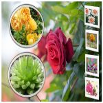 Cần Đăng ký bảo hộ nhãn hiệu thương hiệu logo độc quyền tại Vũng Tàu