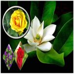 Đăng ký nhãn hiệu logo tại Lạng Sơn 6 Cần đăng ký nhãn hiệu logo Lạng Sơn