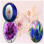 Đăng ký nhãn hiệu logo tại Quận Bình Thủy 6 Cần đăng ký nhãn hiệu logo Quận Bình Thủy