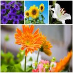 Đăng ký sáng chế là gì? Tại sao phải đăng ký sáng chế? 8 Muốn đăng ký sáng chế
