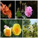 Dịch vụ đăng ký giấy phép hộ kinh doanh tại Bà Rịa Vũng Tàu 6 Thành lập hộ kinh doanh tại Bà Rịa Vũng Tàu