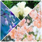 Dịch vụ đăng ký giấy phép hộ kinh doanh tại Bến Tre 6 Thành lập hộ kinh doanh tại Bến Tre