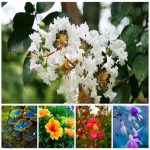 Dịch vụ đăng ký giấy phép hộ kinh doanh tại Cần Thơ 6 Thành lập hộ kinh doanh tại Cần Thơ