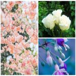 Dịch vụ đăng ký giấy phép hộ kinh doanh tại Đà Nẵng 6 Thành lập hộ kinh doanh tại Đà Nẵng