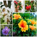 Thành lập hộ kinh doanh tại Huyện Nhà Bè