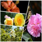 Dịch vụ đăng ký giấy phép hộ kinh doanh tại Quận 12 6 Thành lập hộ kinh doanh tại Quận 12