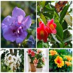 Dịch vụ đăng ký giấy phép hộ kinh doanh tại Thành Phố Đà Nẵng 6 Thành lập hộ kinh doanh tại Thành Phố Đà Nẵng