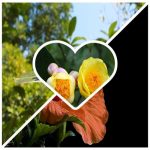 Dịch vụ đăng ký giấy phép hộ kinh doanh tại Vũng Tàu 6 Thành lập hộ kinh doanh tại Vũng Tàu